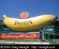 Big Banana, Coffs Harbour, NSW