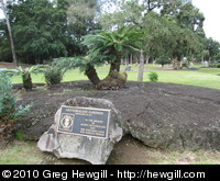Lili'uokalani Gardens