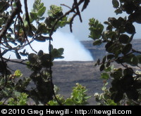Smoke from Kilauea