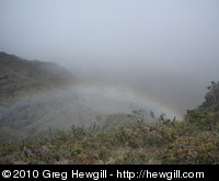 Rainbow in the mist