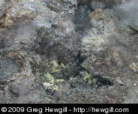Closeup of steam vent with yellow sulphur deposits