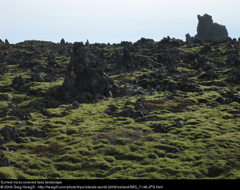 Surreal moss covered lava landscape