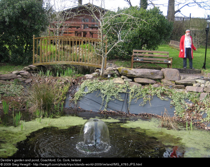 Deirdre's garden and pond