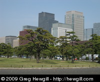 Imperial Palace gardens and skyscrapers