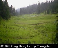 One of the many tranquil alpine meadows found in the Indian Henry's Hunting Ground area.