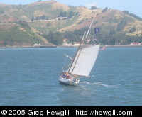 Sailing in the harbour