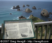 Nugget Point sign