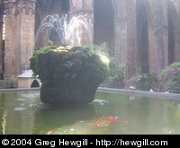 Inside the Barcelona Cathedral, this fountain was a little patch of green in a mostly stone world.