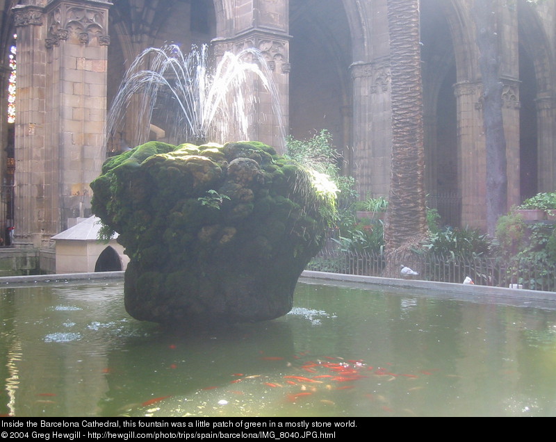 Inside the Barcelona Cathedral, this fountain was a little patch of green in a mostly stone world.