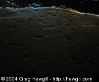 Footprints in the sand on the beach at night.