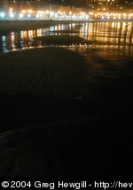 Nighttime beach scene.