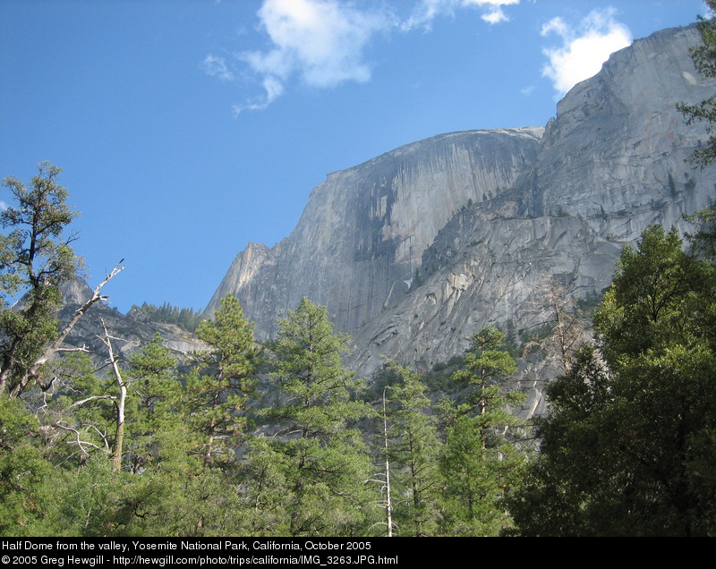 Half Dome from the valley