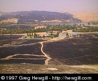 Bakersfield grass fires