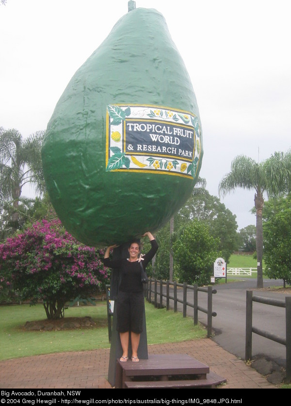 Big Avocado, Duranbah, NSW