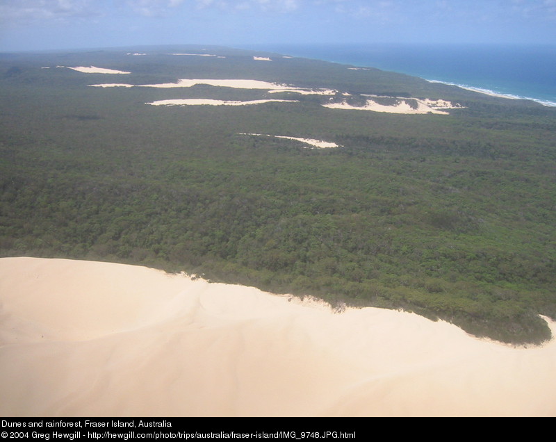 Dunes and rainforest