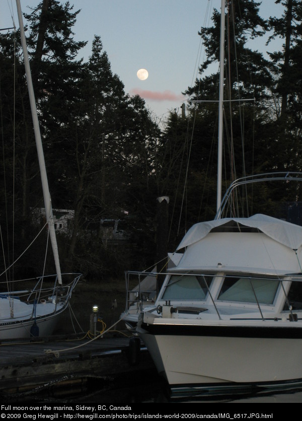 Full moon over the marina