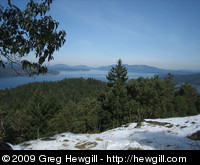 View of the Saanich Inlet from the top of the hill