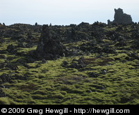 Surreal moss covered lava landscape