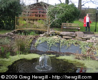 Deirdre's garden and pond