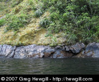 Vegetation covers the granite walls all the way to the high water line