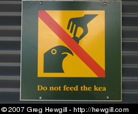 Do not feed the kea