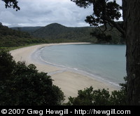 Maori Beach