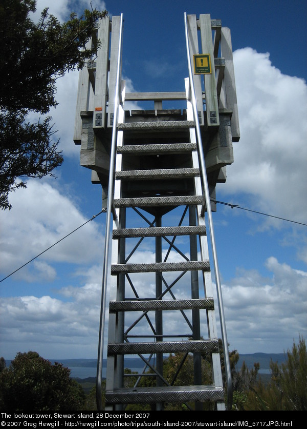 The lookout tower