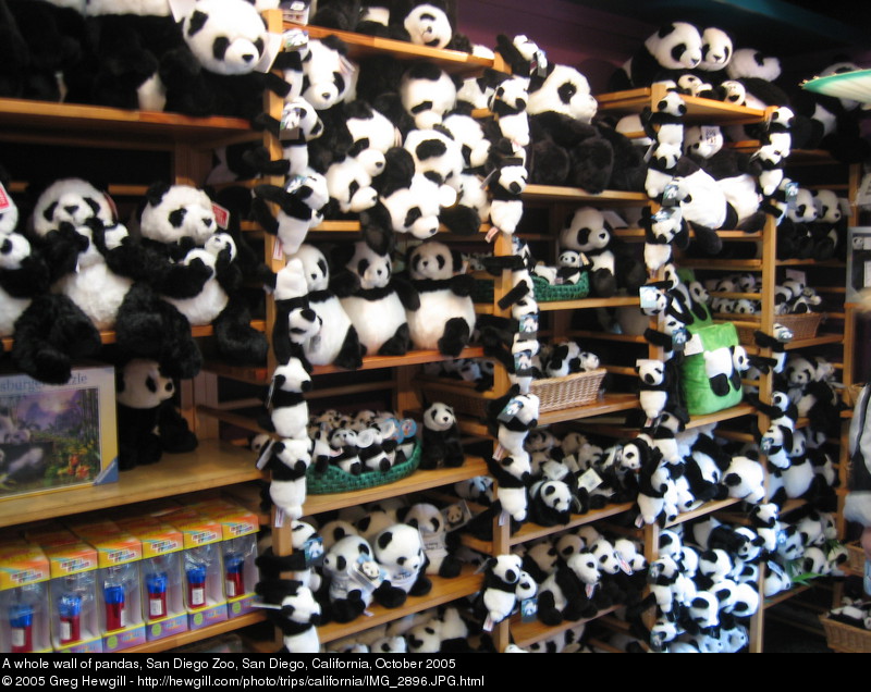 A whole wall of pandas