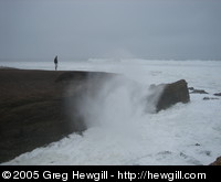Blowhole with a human for scale