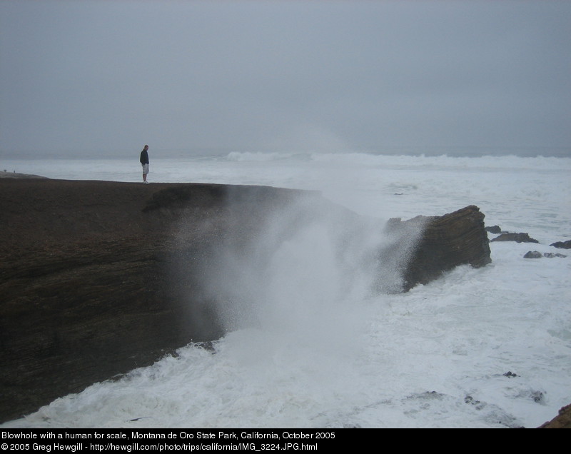 Blowhole with a human for scale