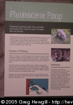 Pleistocene Poop
